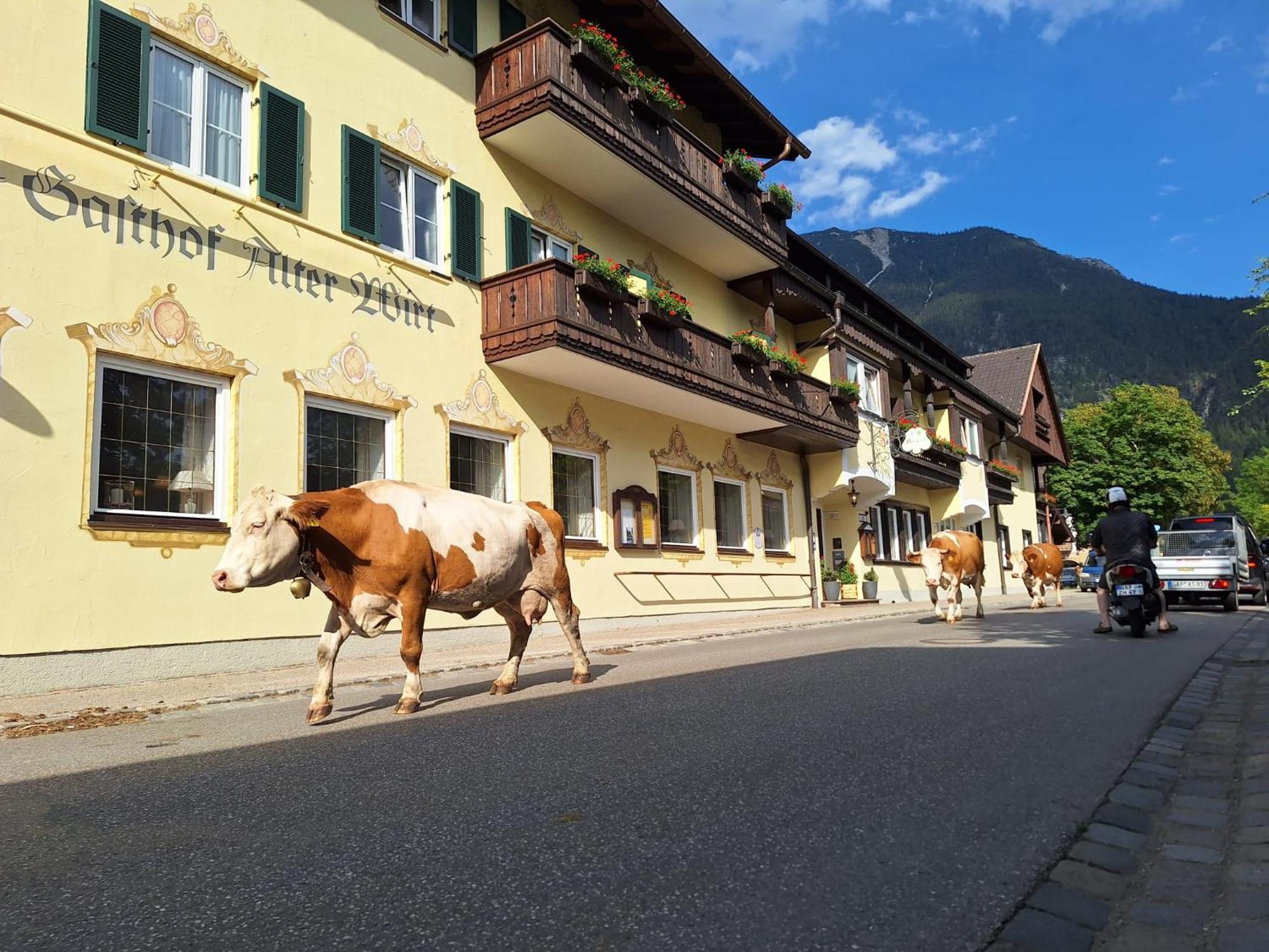 Hotel Gasthof Alter Wirt Farchant Luaran gambar